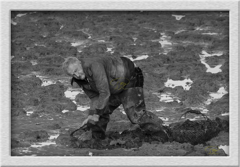 Pêcheur à pieds.jpg