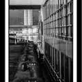 Quais-de-Rouen---N&B1
