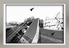 SLR---Le-corbeau-et-le-Metrodon